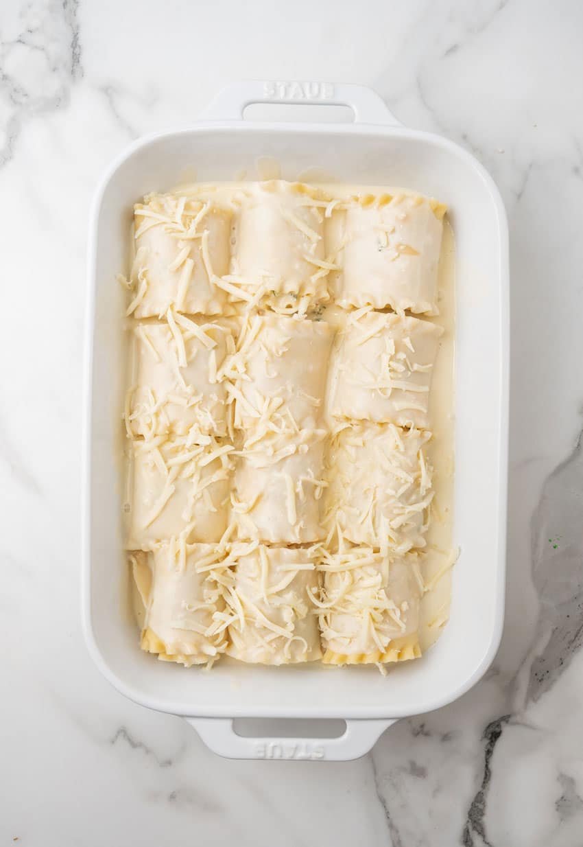 white chicken lasagna roll ups arranged in rows in a white baking dish
