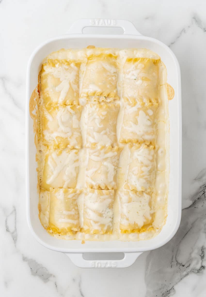 white chicken lasagna roll ups arranged in rows in a white baking dish