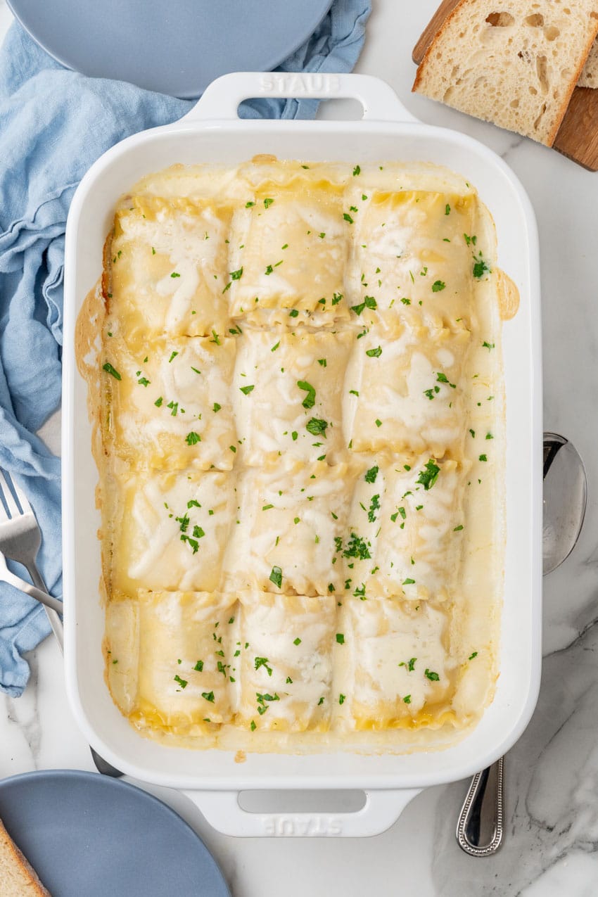 white chicken lasagna roll ups arranged in rows in a white baking dish