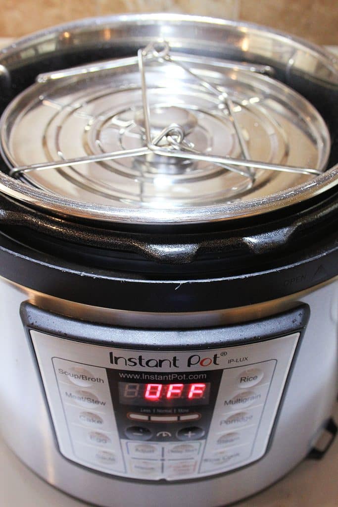 silver pots shown in the Instant Pot