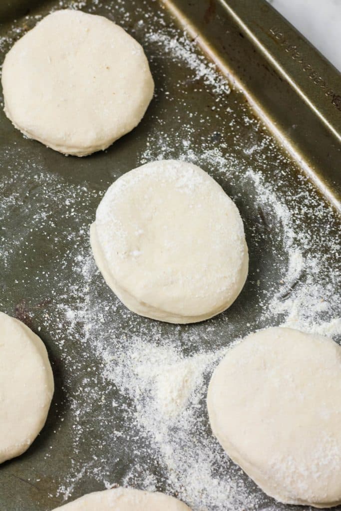 uncooked English muffins rising on a cornmeal covered metal baking sheet