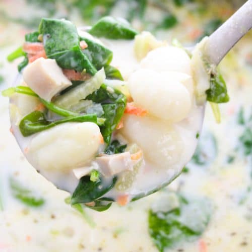 a silver ladle holding up a serving of creamy chicken & gnocchi soup
