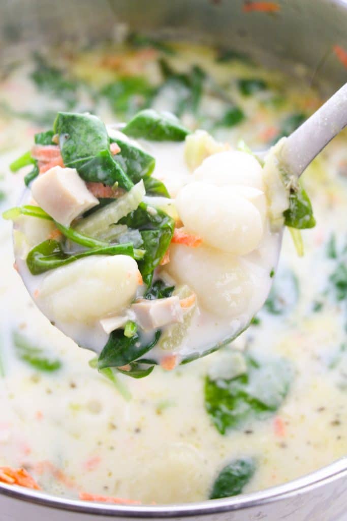 a silver ladle holding up a serving of creamy chicken & gnocchi soup