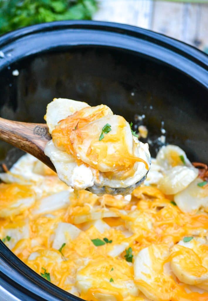 a wooden spoon lifting a scoop of crockpot scalloped potatoes out of a slow cooker