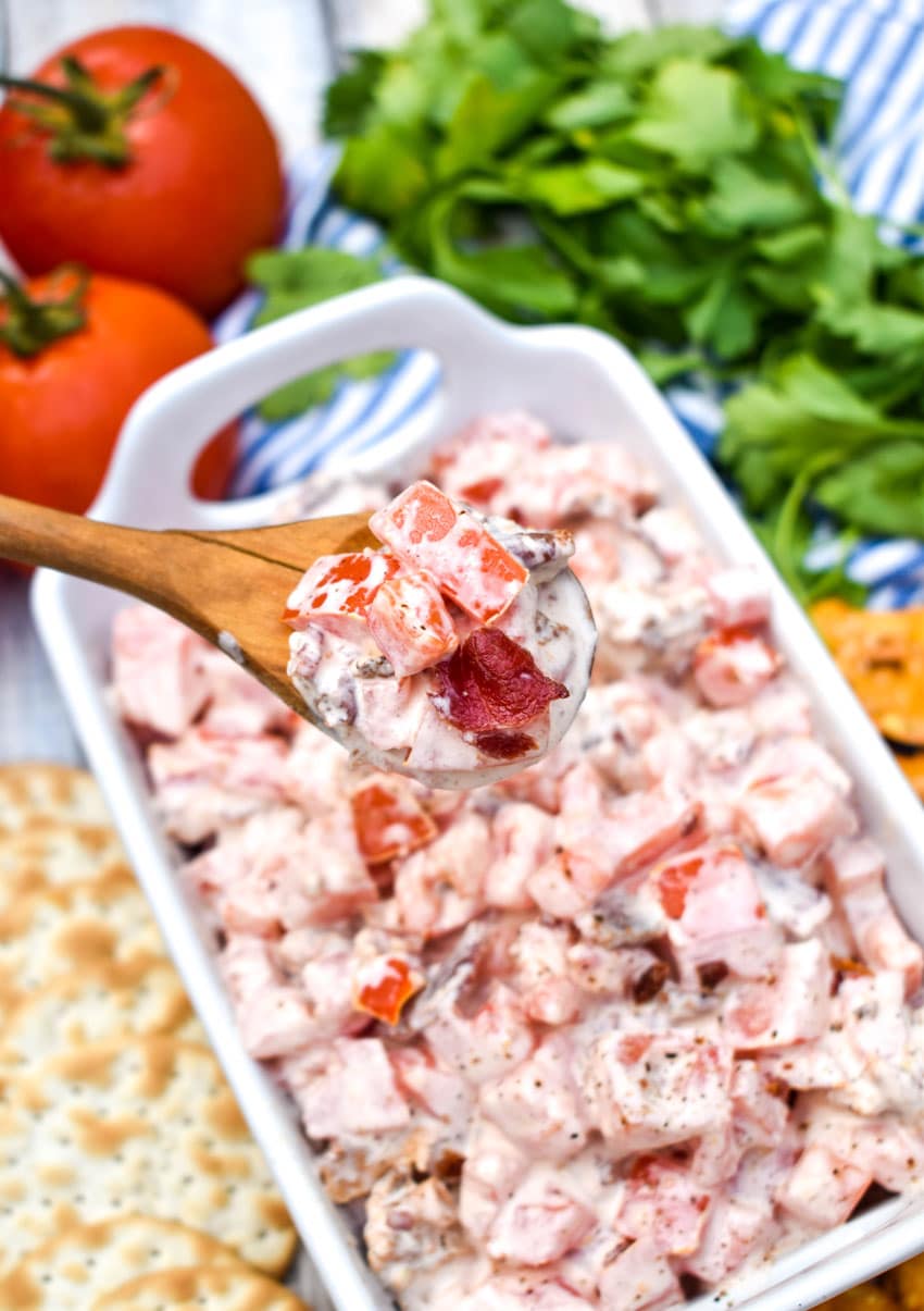 a wooden spoon holding up a spoonful of creamy bacon tomato dip