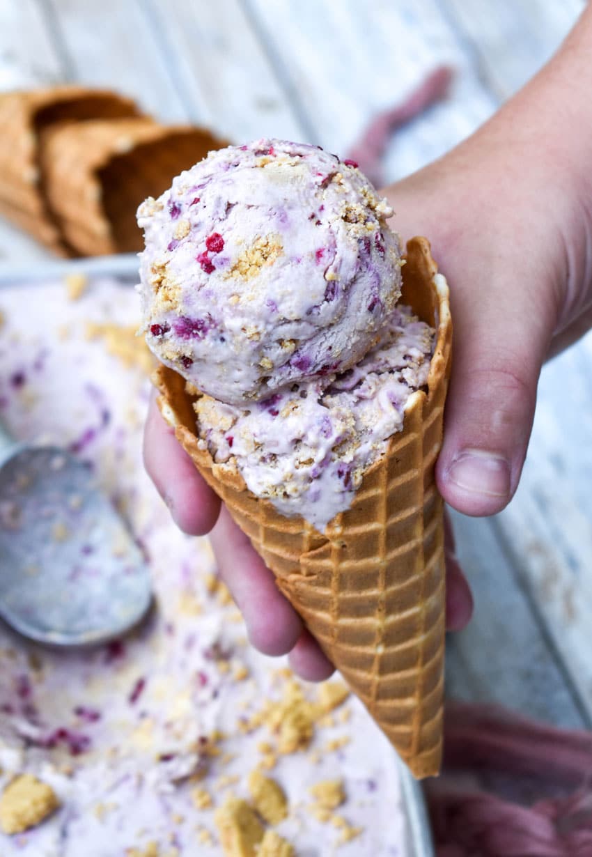 a hand holding up a waffle cone filled with scoops of no churn blackberry cheesecake ice cream