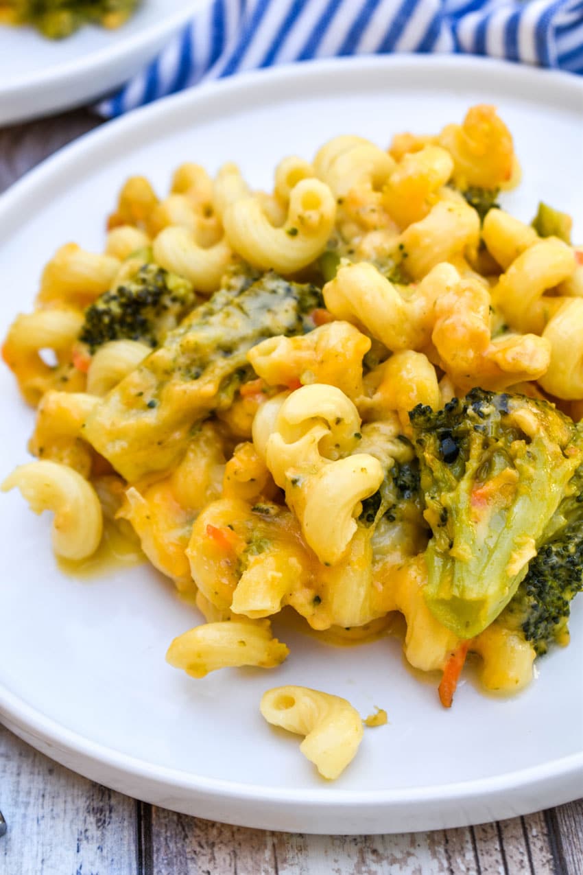 creamy broccoli cheddar macaroni and cheese on a white plate