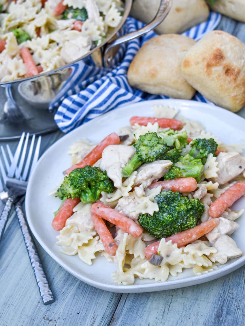 creamy chicken and bowtie pasta on a gray dinner plate