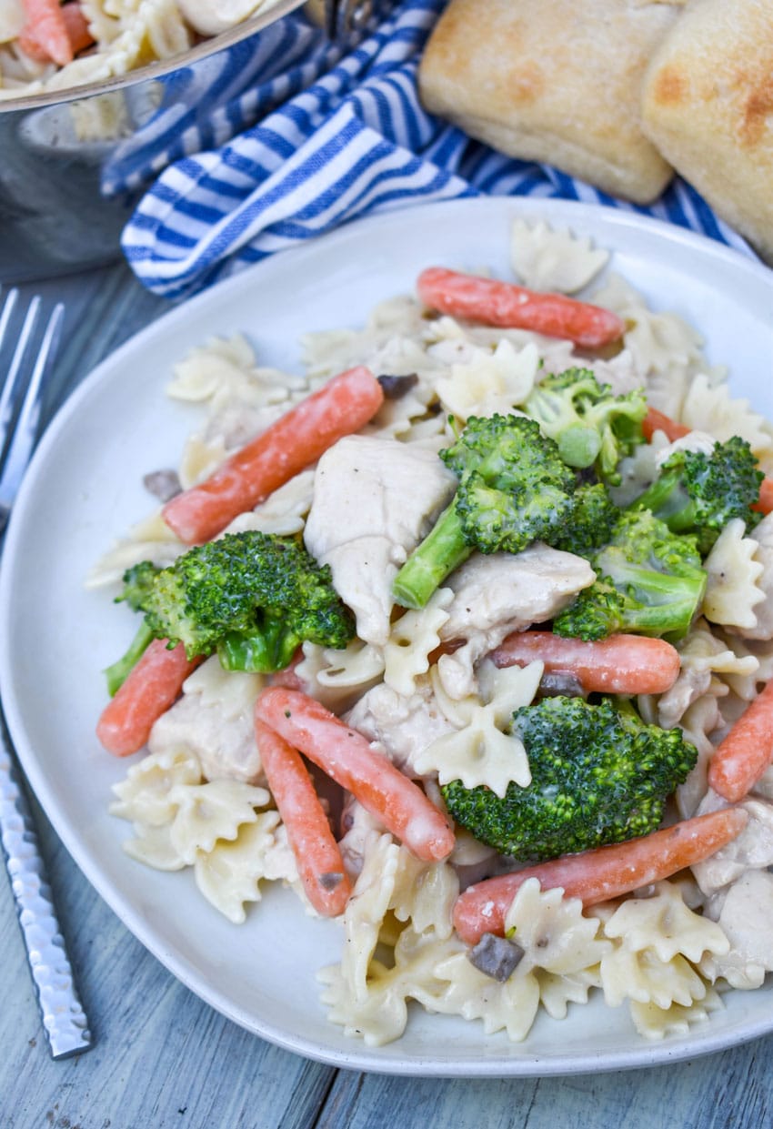 creamy chicken and bowties on a gray dinner plate