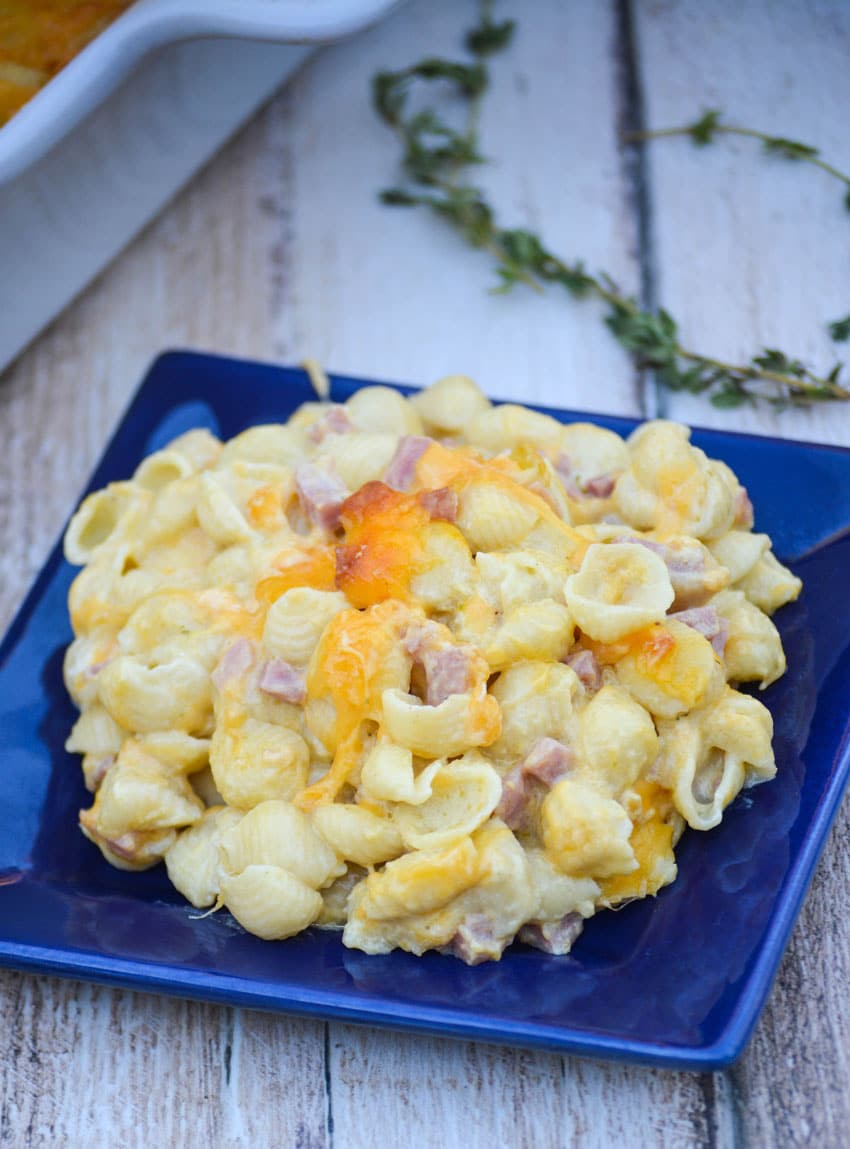 baked macaroni and cheese with ham in a small blue plate