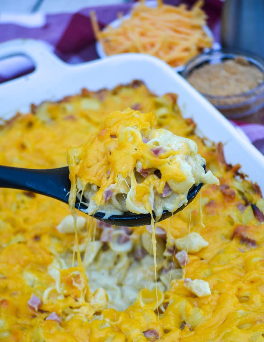 a scoop of baked mac and cheese on a black serving spoon
