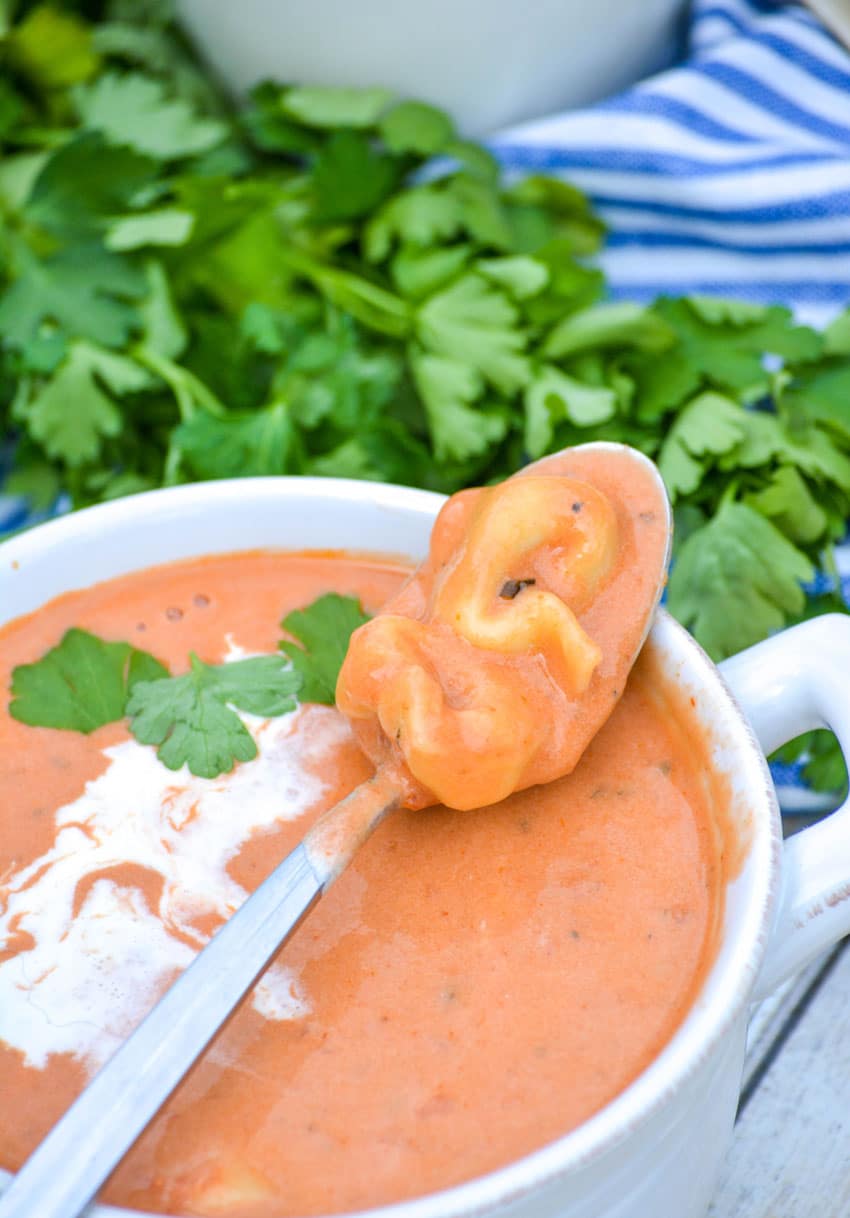 a silver spoon holding a scoop of Three ingredient creamy tomato soup with tortellini resting on the edge of a white bowl