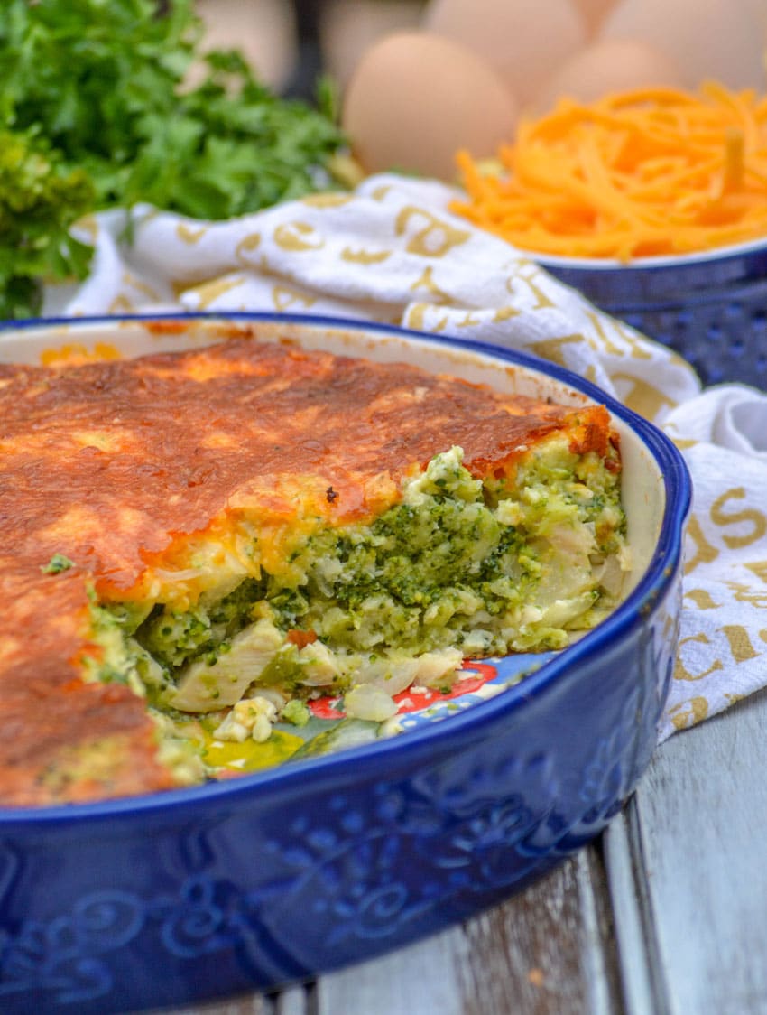 cheesy chicken and broccoli pie in a blue pie dish