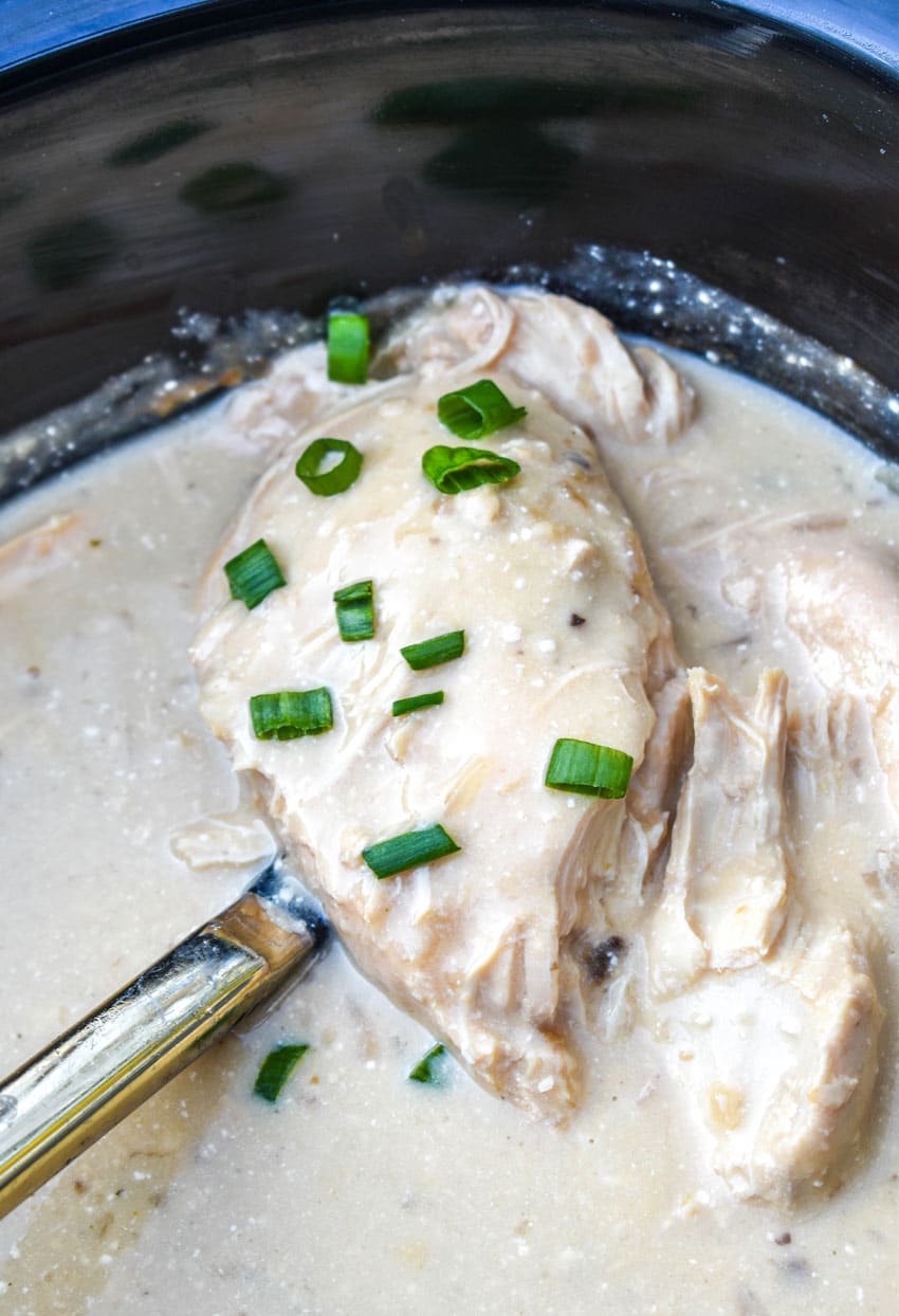 a spoon lifting up a piece of slow cooker chicken in sour cream sauce