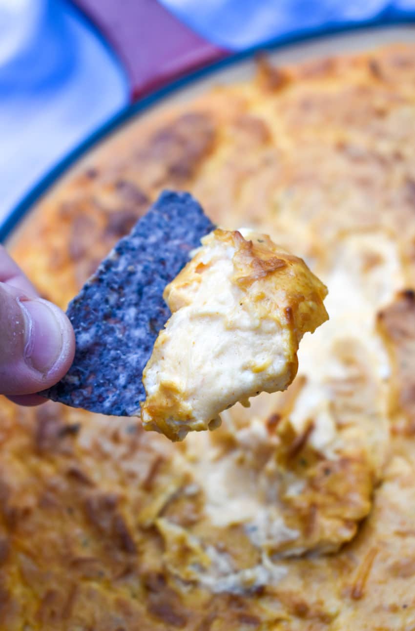 a hand holding up a blue corn chip covered in smoked buffalo chicken dip