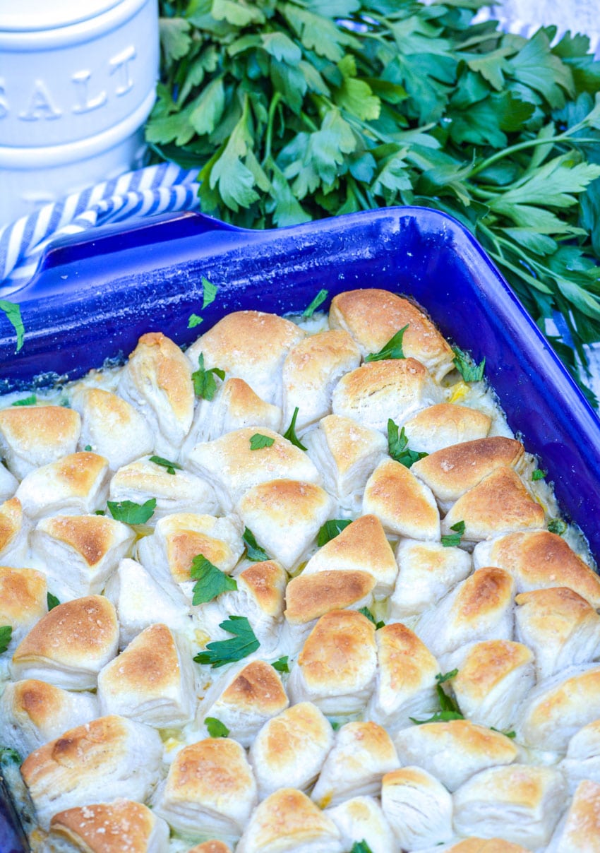 chicken pot pie casserole topped with biscuits in a blue baking dish