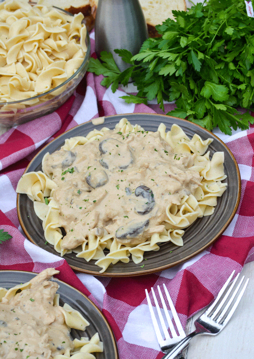chicken stroganoff over noodles on two brown plates