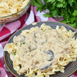 chicken stroganoff over noodles on two brown plates