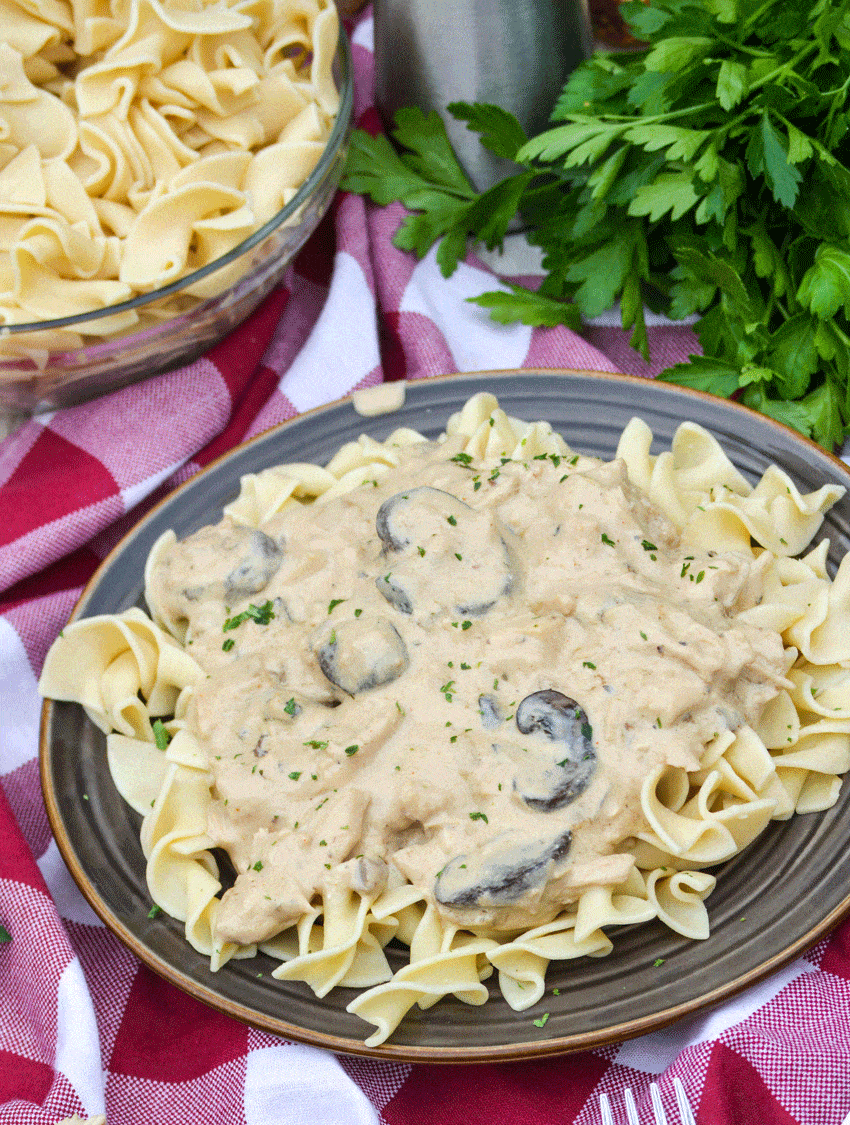 chicken stroganoff over noodles on two brown plates