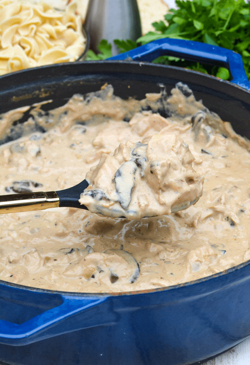 a gold handled serving spoon holding up a scoop of easy chicken stroganoff