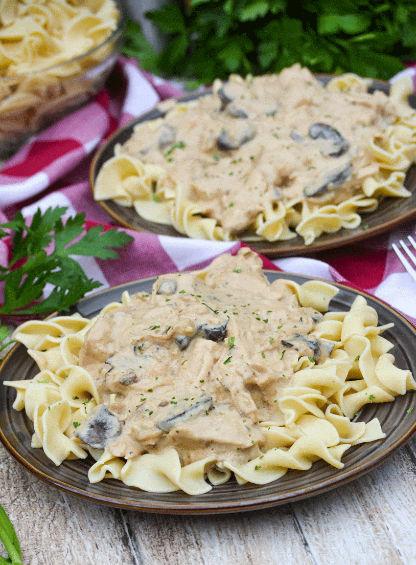 chicken stroganoff over noodles on two brown plates