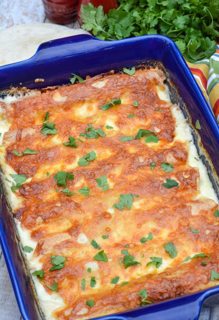 creamy white chicken enchiladas in a blue casserole dish