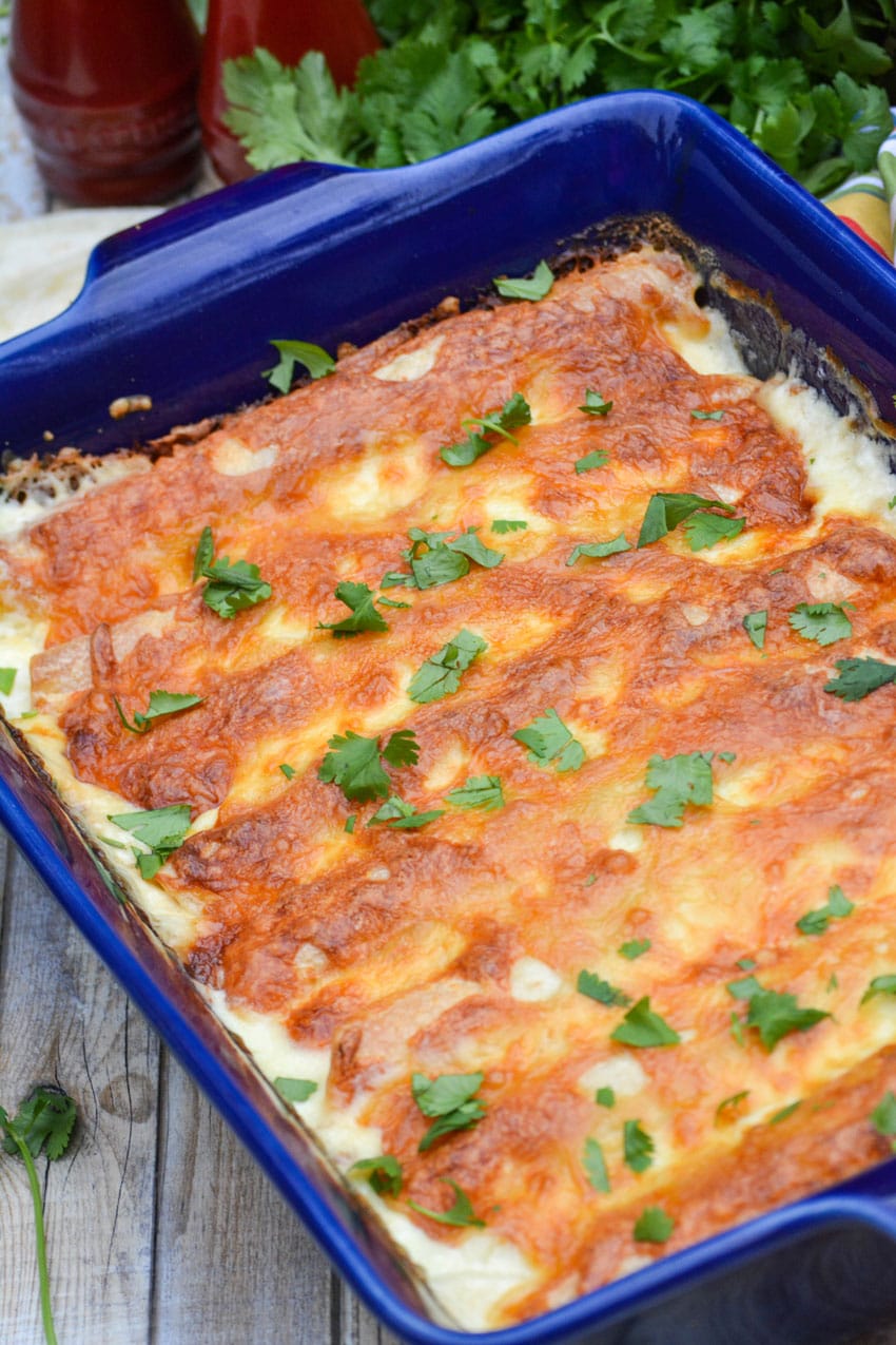 creamy white chicken enchiladas in a blue casserole dish
