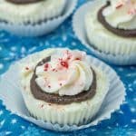 mini peppermint cheesecakes on white paper cupcakes liners