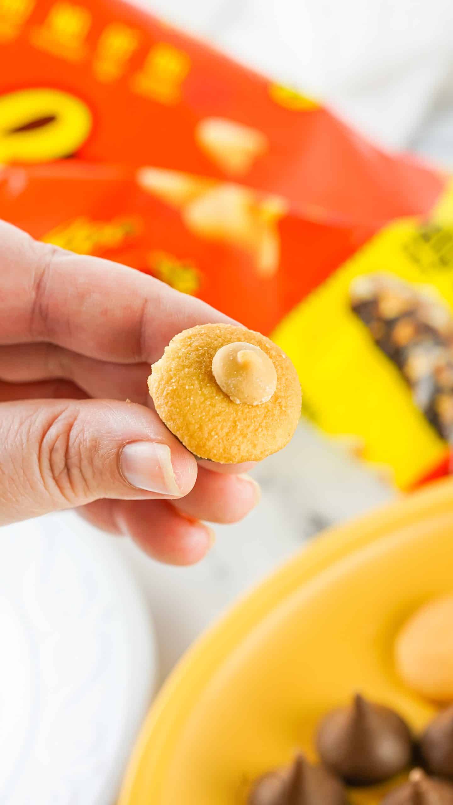 a hand holding an acorn kisses treat