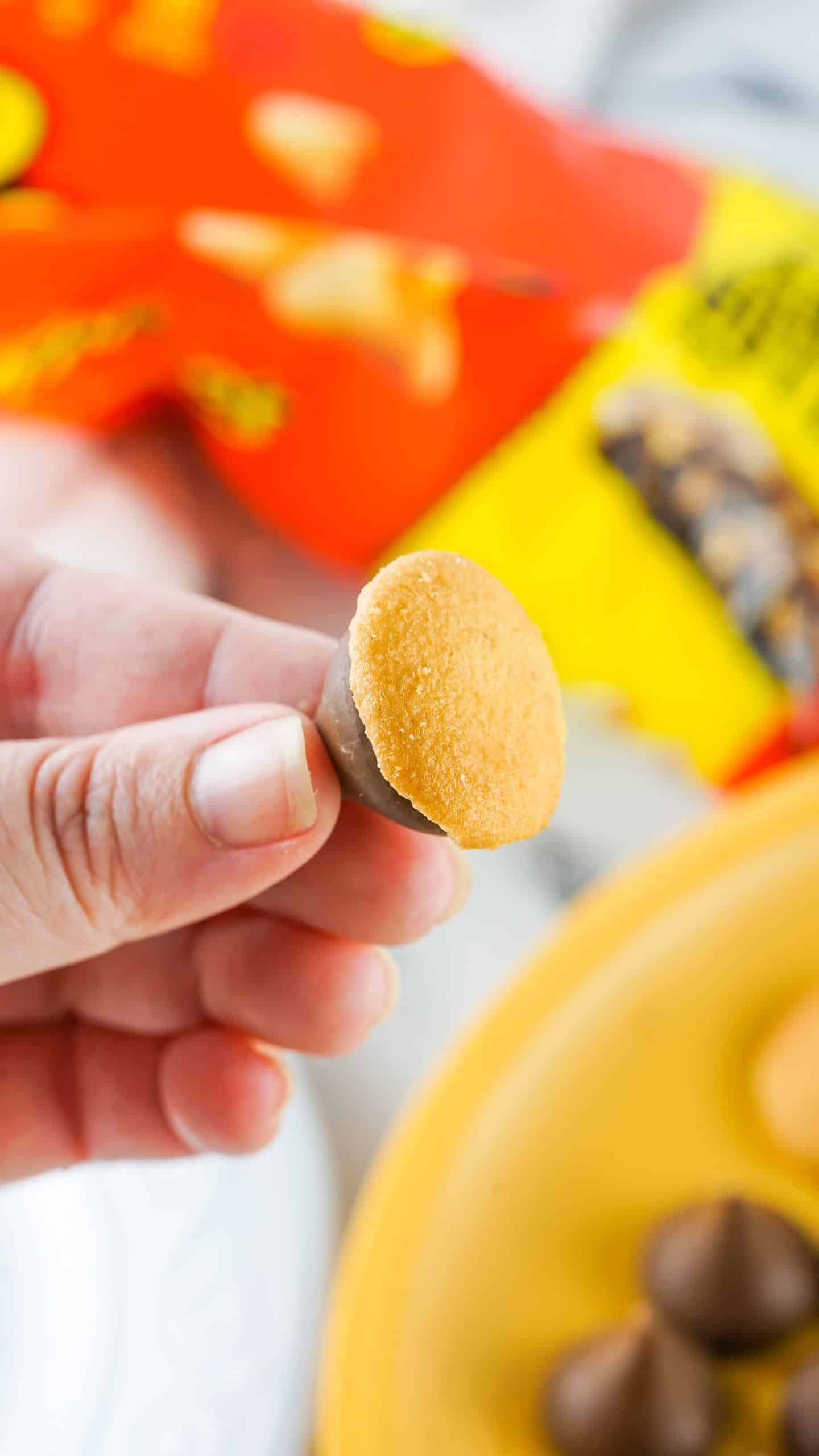 a mini nilla wafer cookie stuck onto the bottom of an unwrapped hershey's chocolate kiss