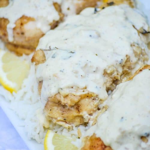 creamy lemon over a bed of steamed white rice on a white platter with lemon slices on the side