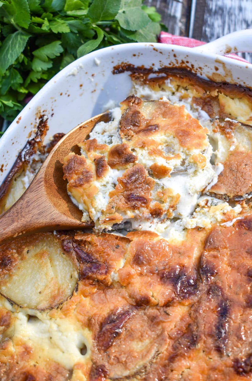 a wooden spoon scooping scalloped potatoes with boursin cheese out of a white casserole dish