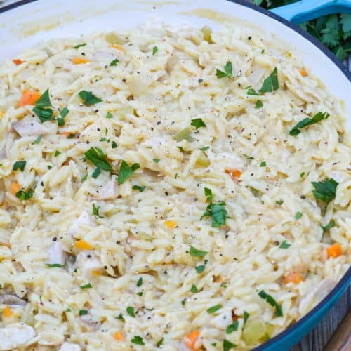 creamy chicken and orzo pasta in a cast iron skillet
