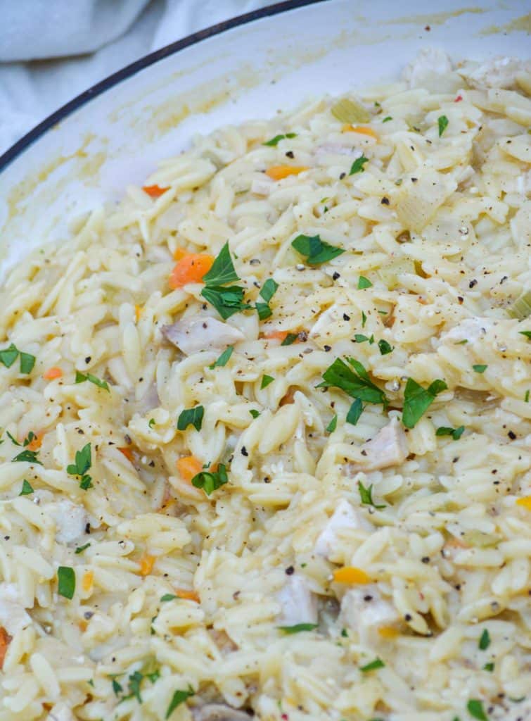 creamy chicken and orzo pasta in a cast iron skillet