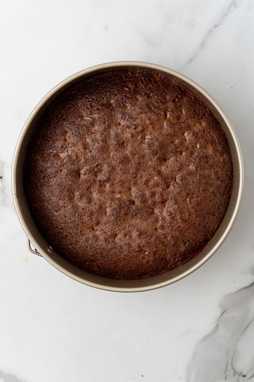 a brownie crust in a metal springform pan