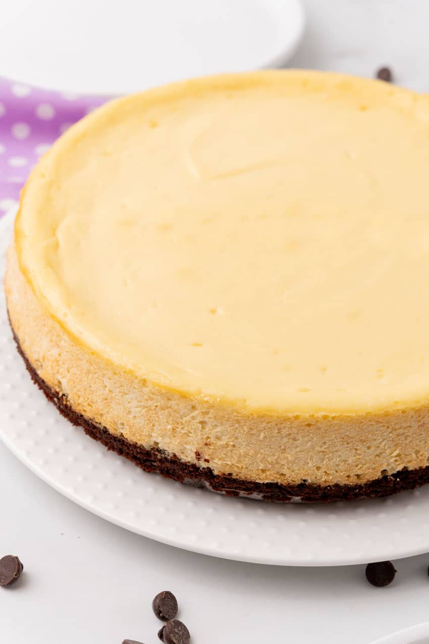 a baked brownie bottom cheesecake resting on a white plate