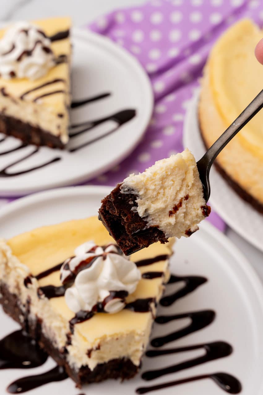 a black fork holding up a piece of brownie bottom cheesecake