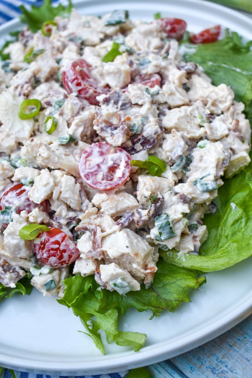 blt chicken salad spread over fresh green leaf lettuce on a white dinner plate
