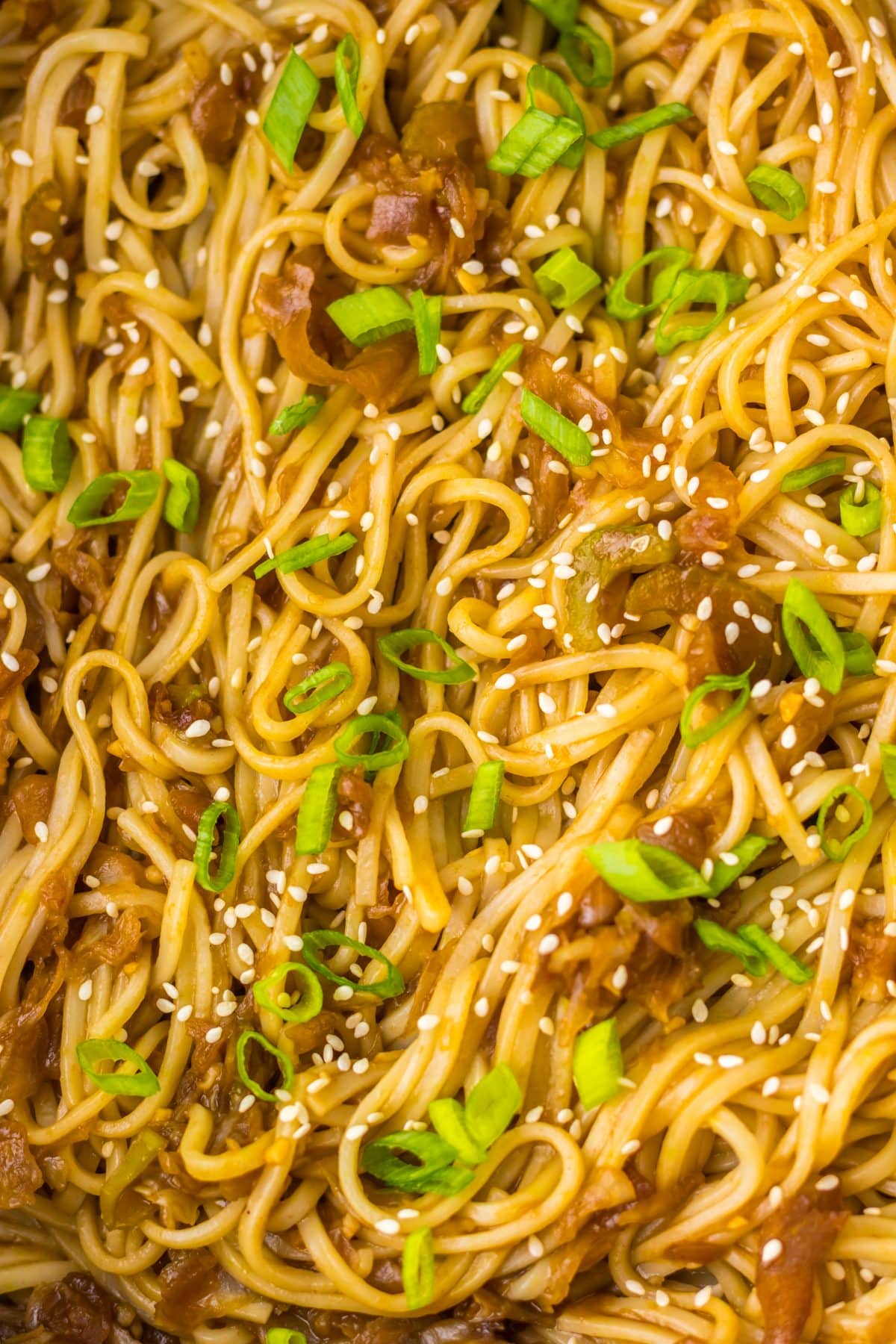 a close up of homemade chinese chow mein with vegetables