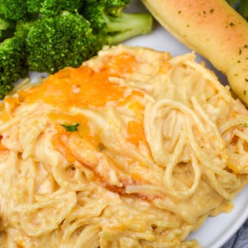 spaghetti mac and cheese on a white plate with a fresh breadstick on the side