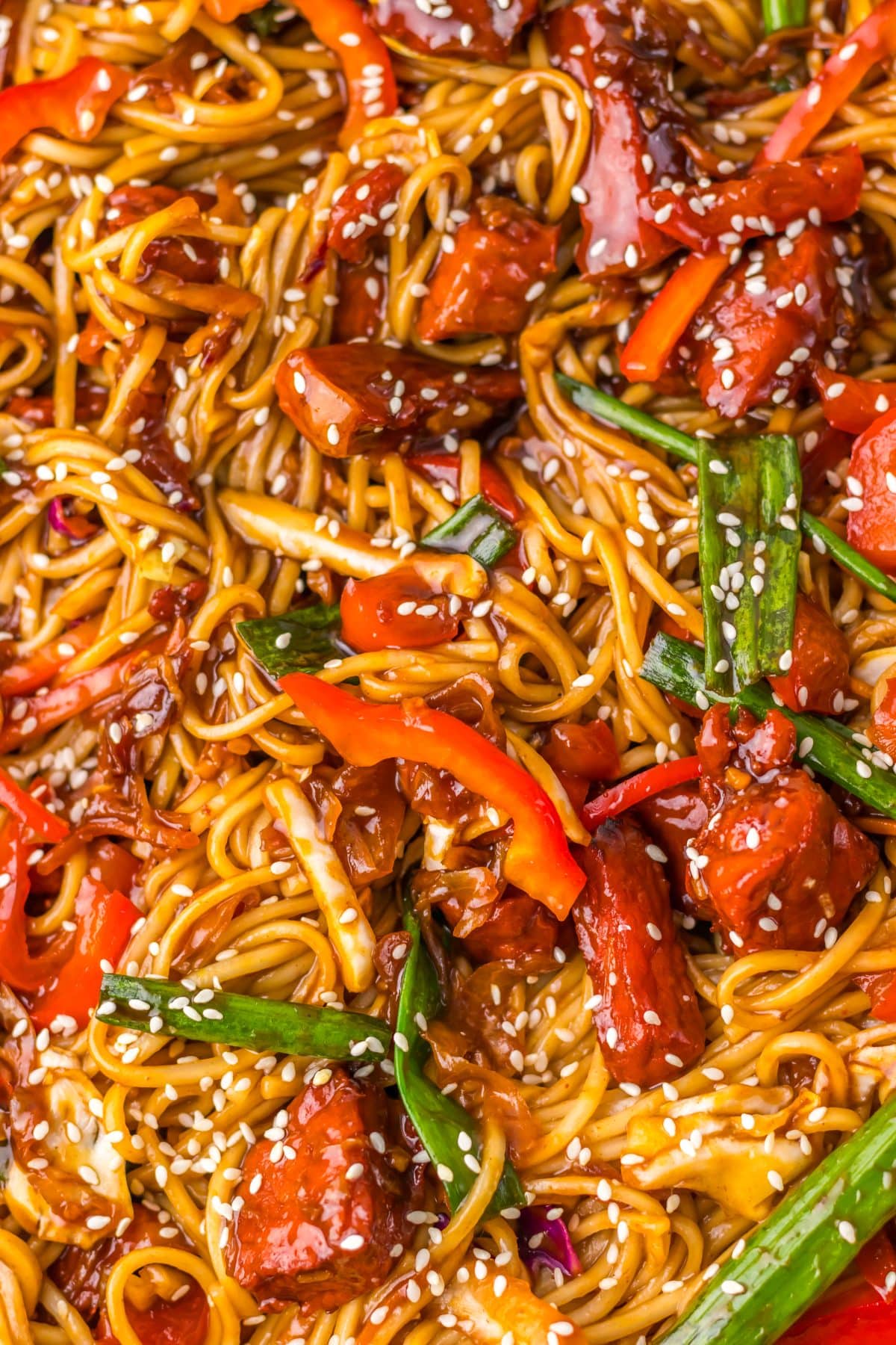 a close up of homemade pork lo mein