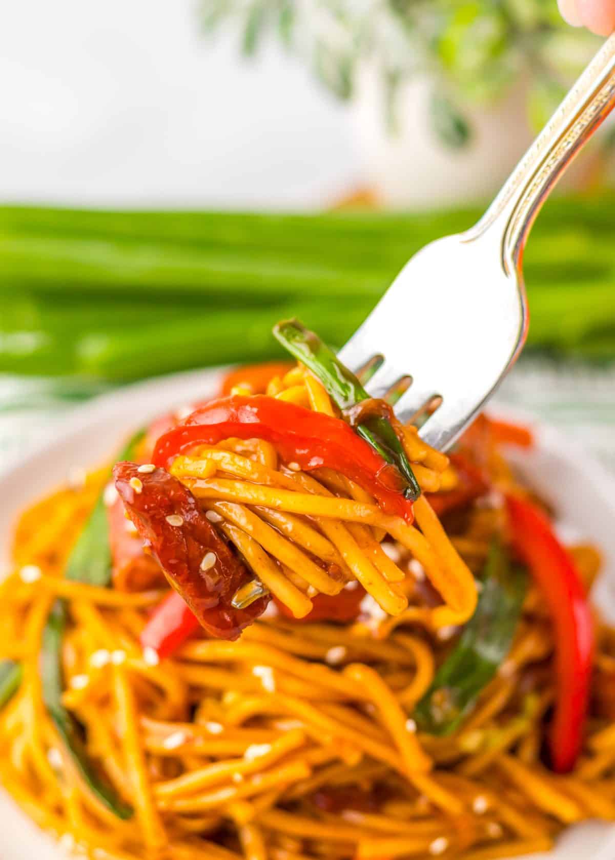 a silver fork scooping homemade pork lo mein off a white plate