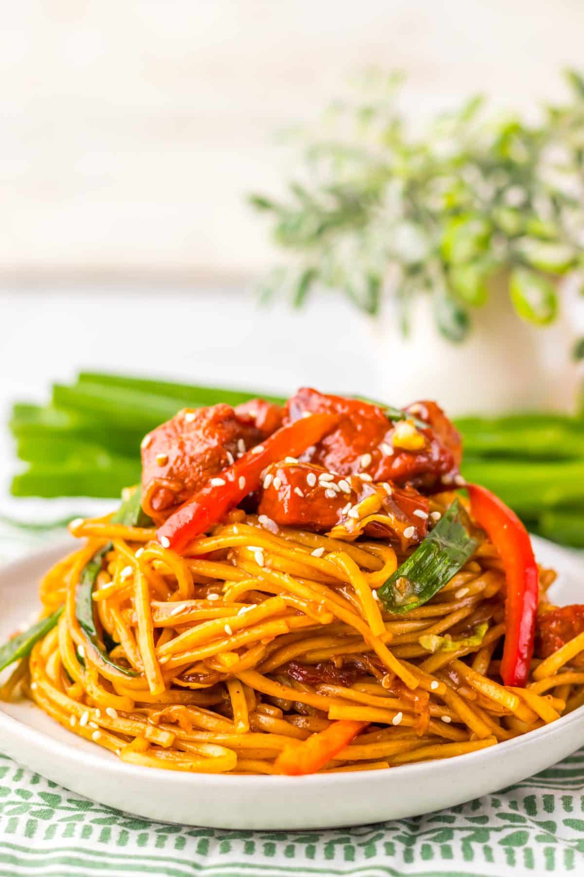 pork lo mein served on a small white plate