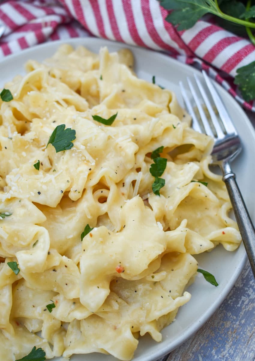creamy italian noodles served on a small white plate