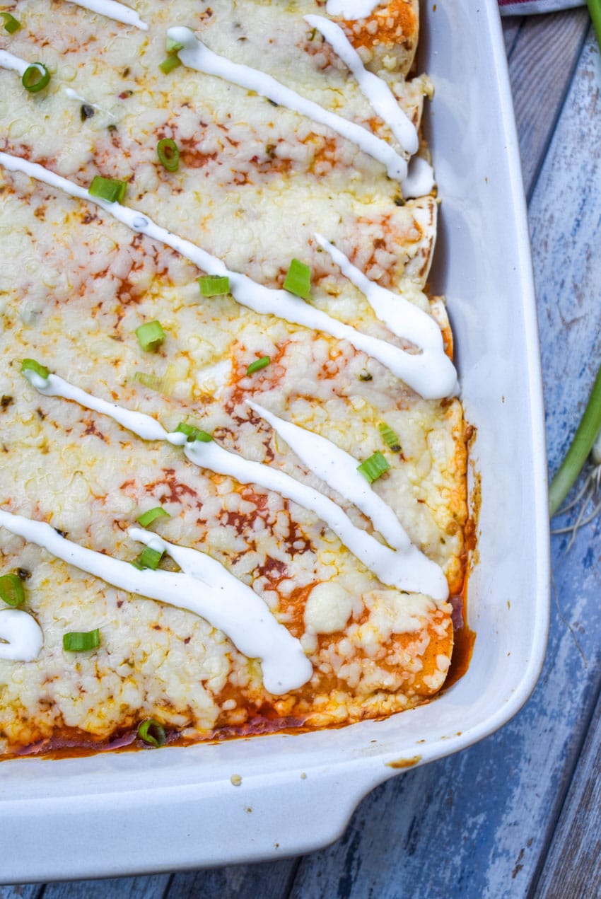 buffalo chicken enchiladas in a white baking dish