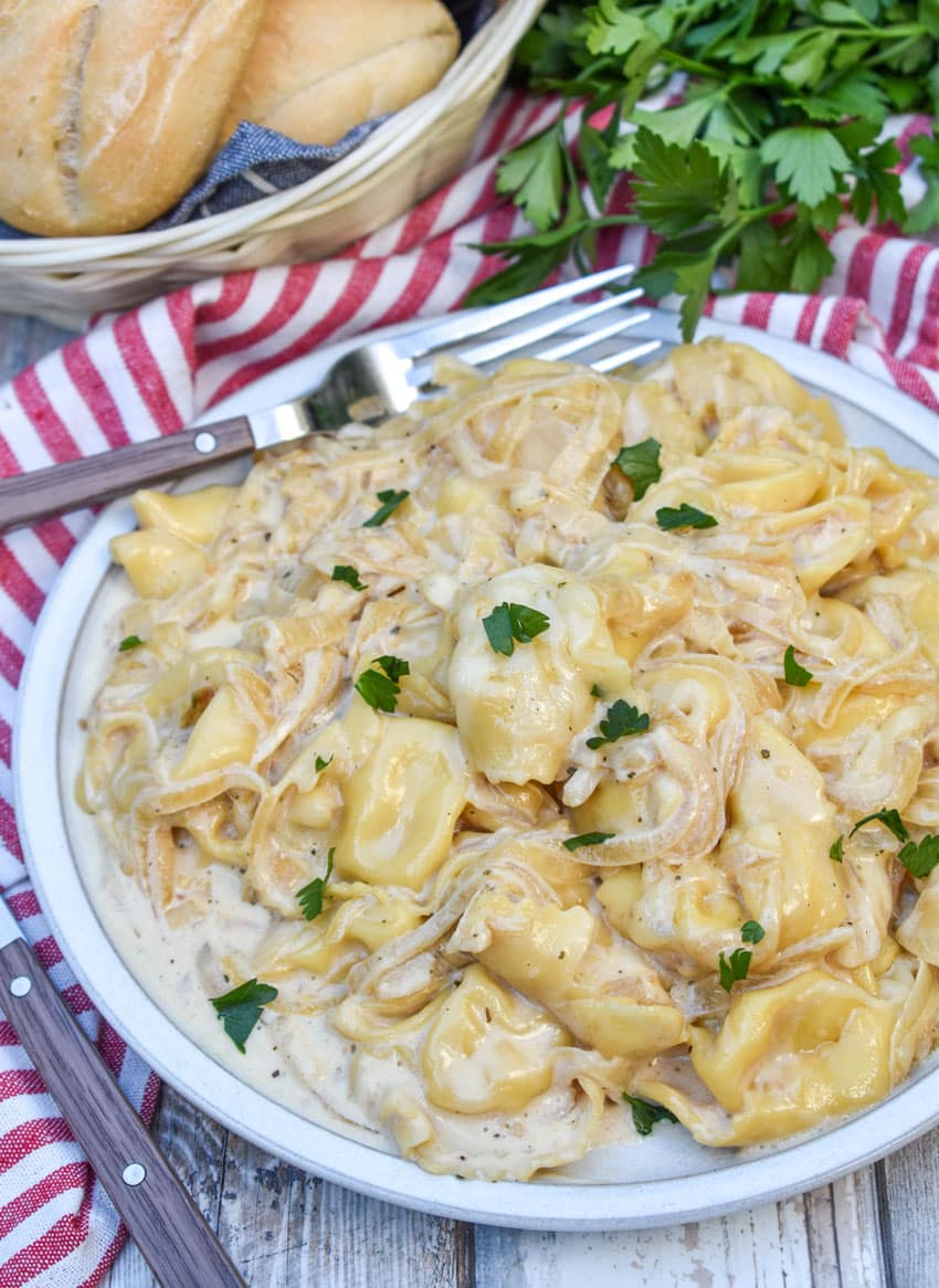 creamy french onion tortellini on a white plate