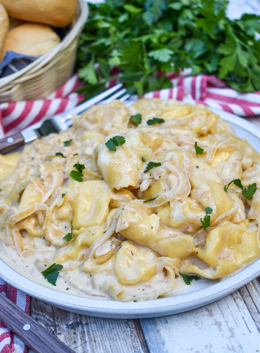 creamy french onion tortellini on a white plate