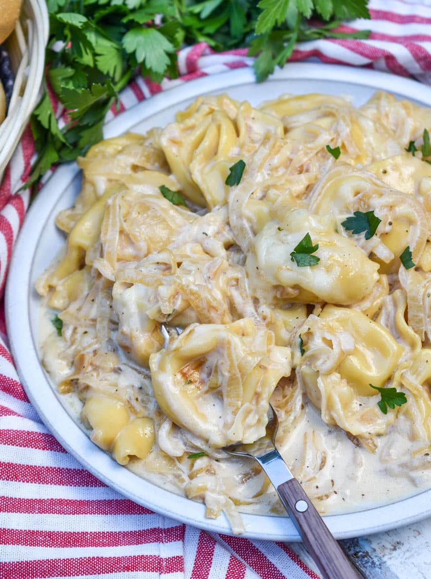 creamy french onion tortellini on a white plate