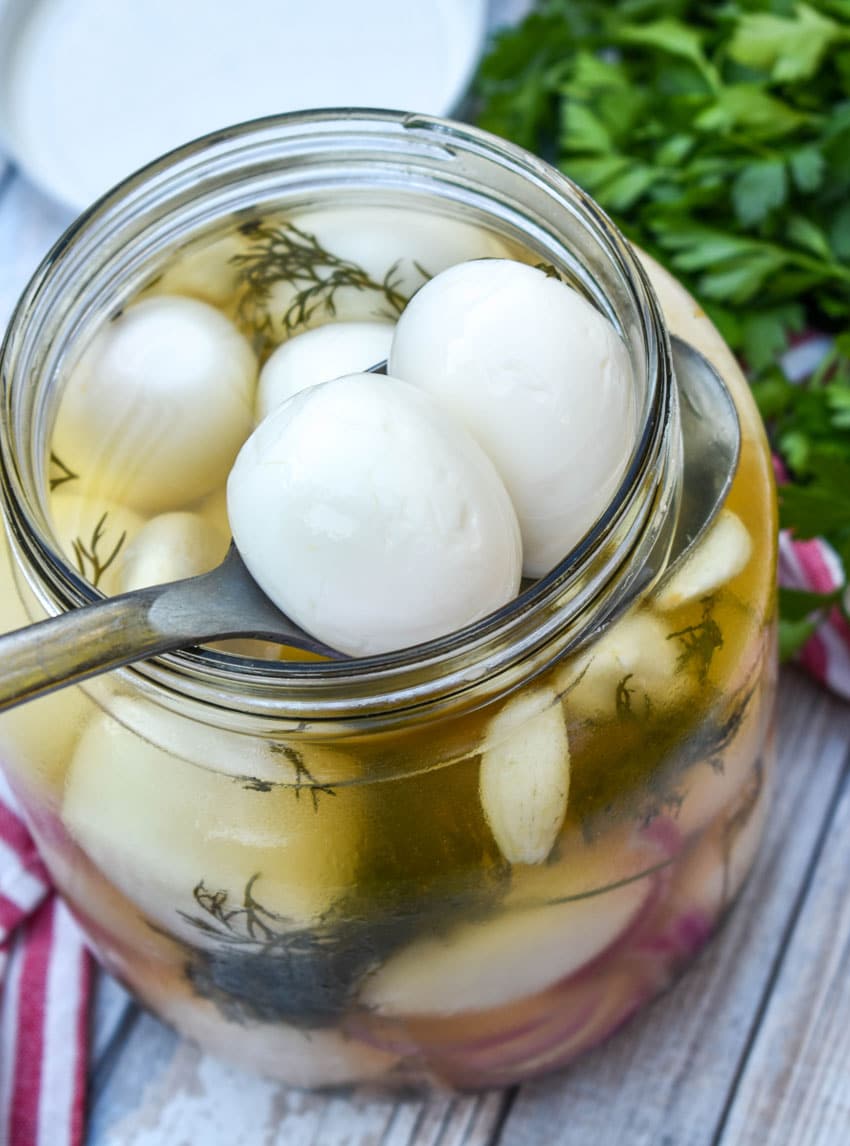 a slotted metal spoon scooping easy homemade pickled eggs out of a large glass jar