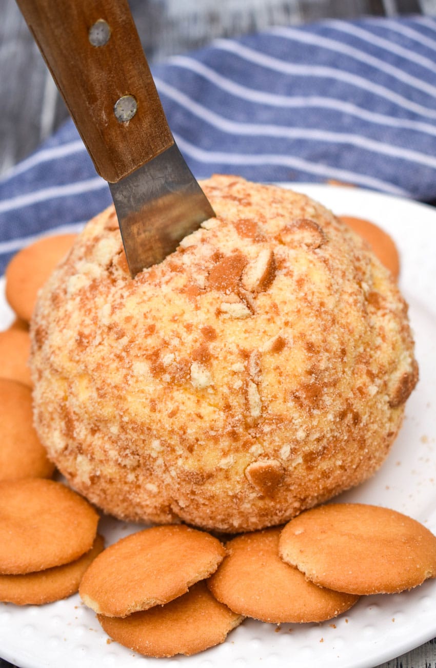 Banana Pudding Dessert Cheese Ball a banana pudding cheese ball surrounded by nilla wafers on a small white plate